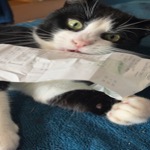Tucker Receipt